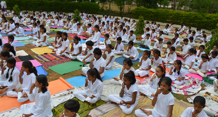 International Yoga day Celebration