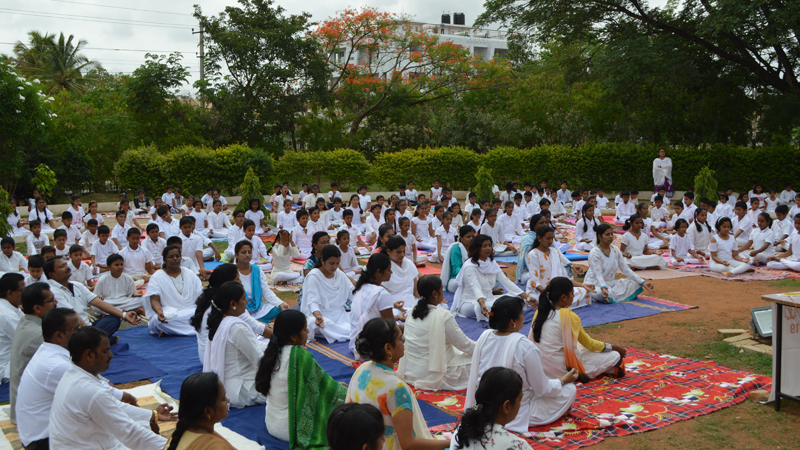 International Yoga day Celebration 